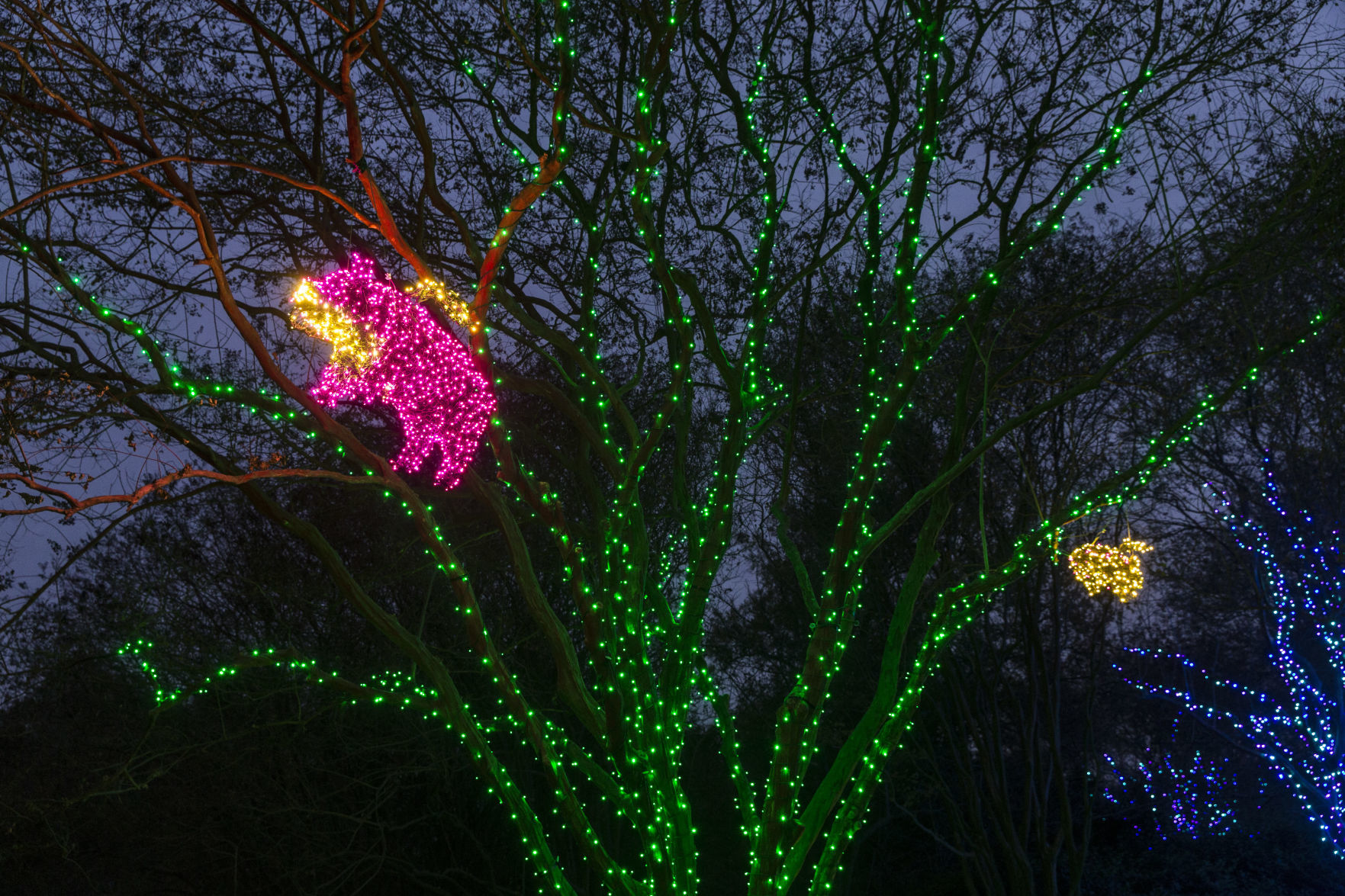 GardenFest of Lights